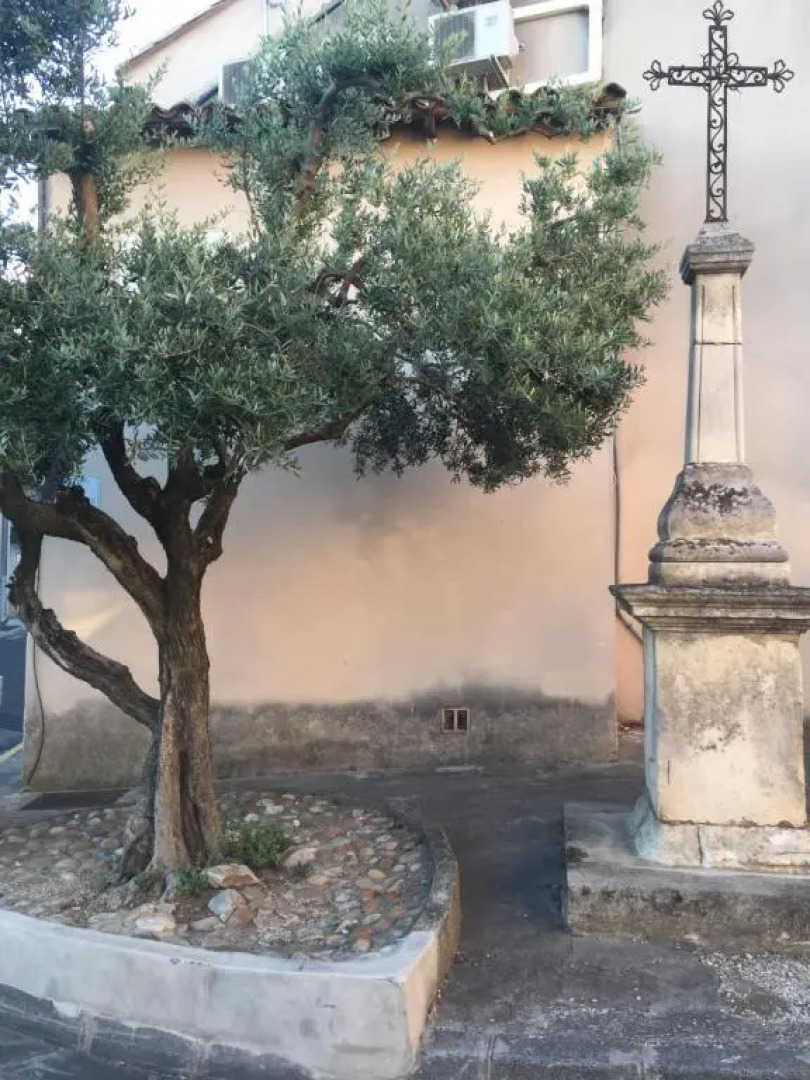 APPARTEMENT T2 avec TERRASSE ds maison de village pres d avignon