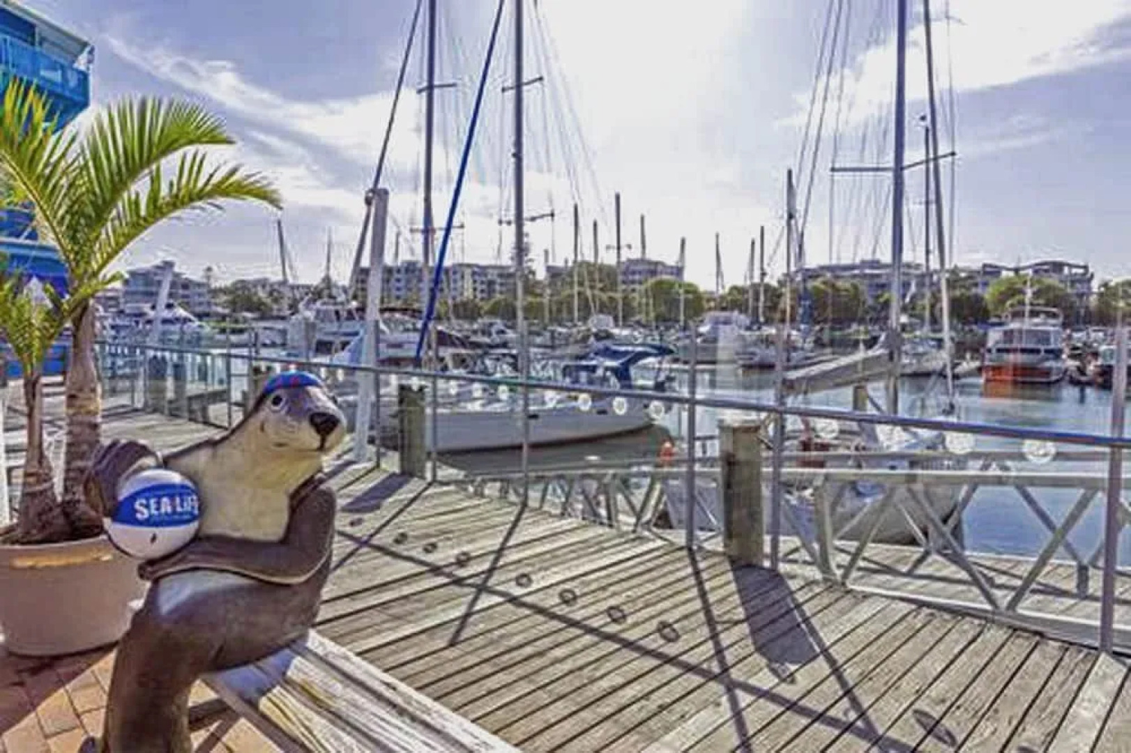 Asiatic Suite at Nautilus Mooloolaba