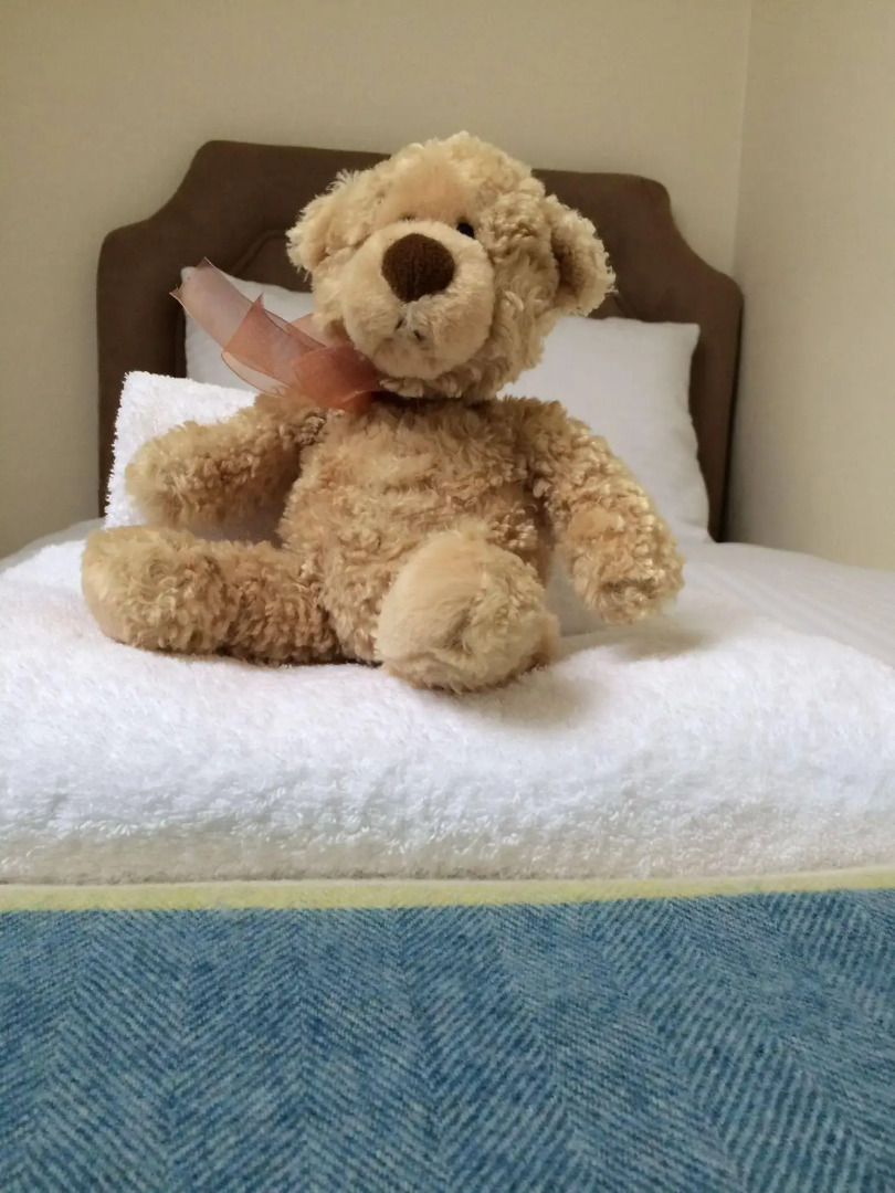 Saplinbrae Hotel and Lodges