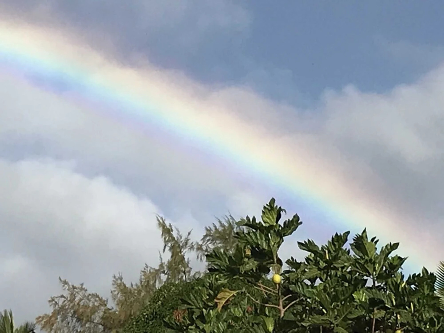 Sweet Spot Stay - Tikis and Treetops