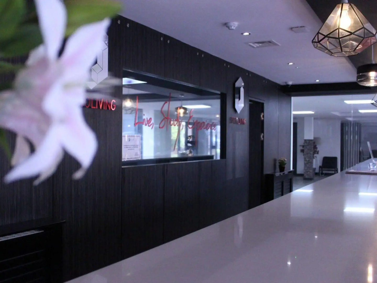 Peace Apartments - Spring Place