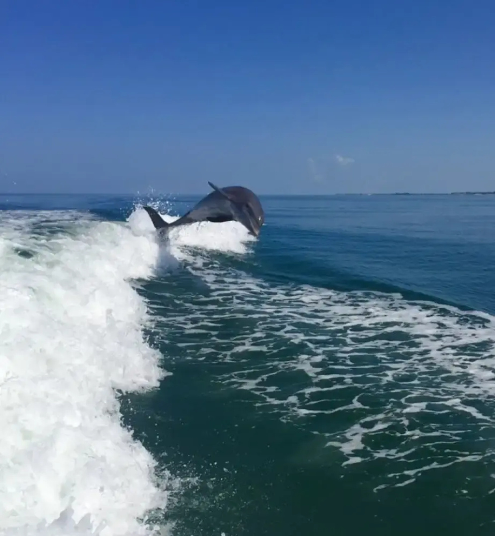 Captiva Providence