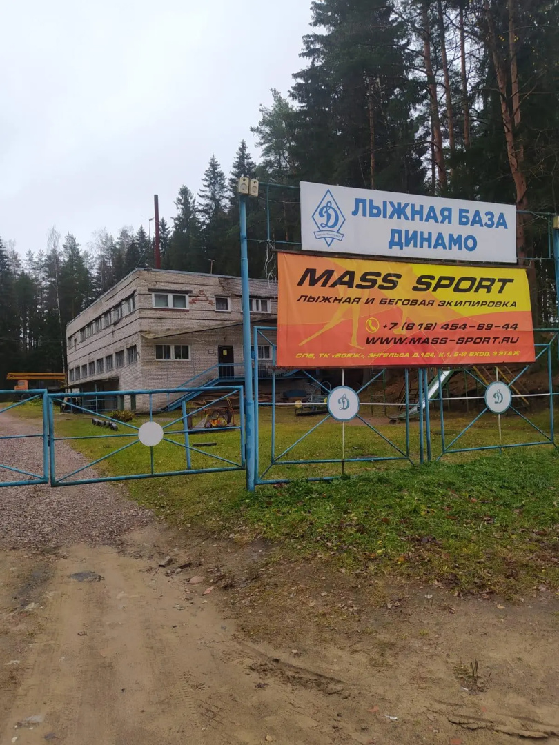 Динамо