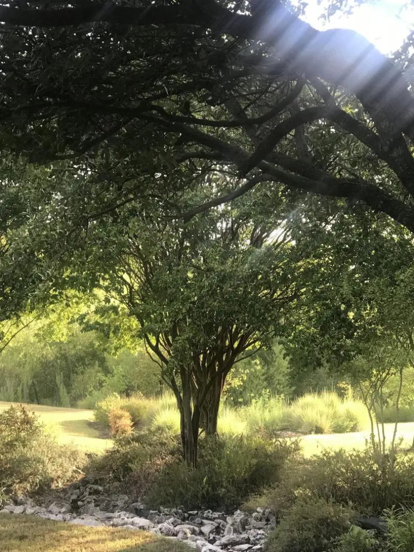 The Plantation House Boutique Inn