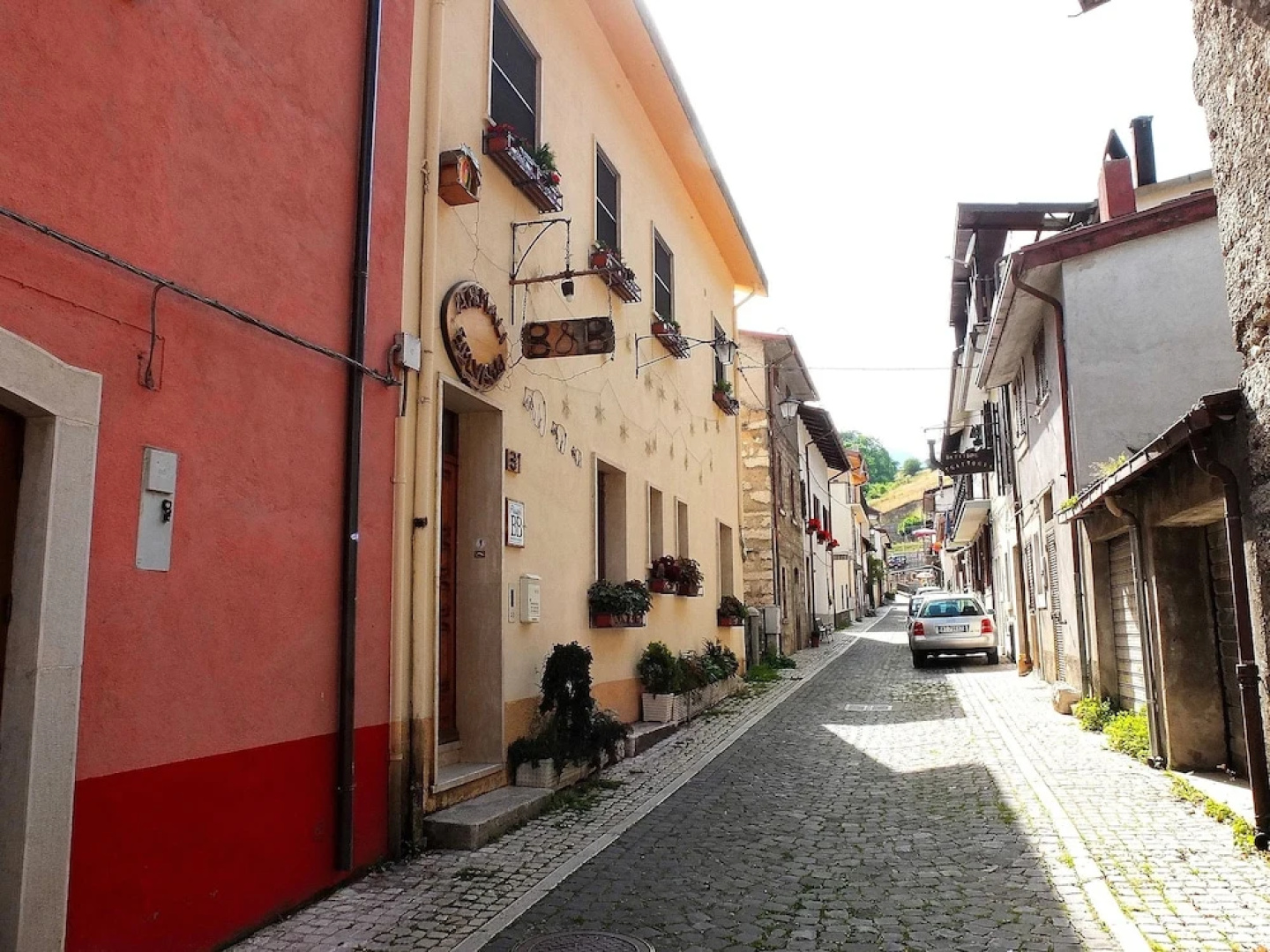 B&B Animali Selvaggi