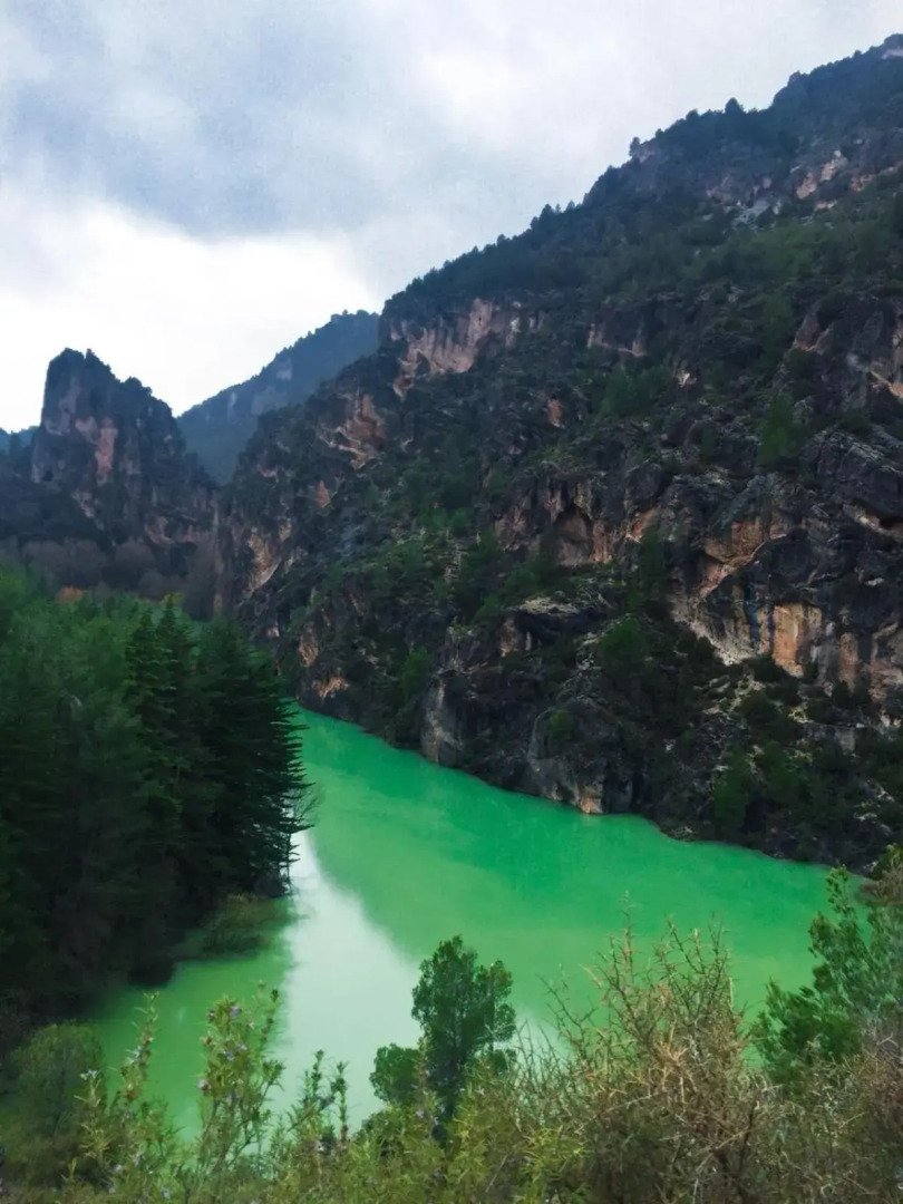 Vivienda Turística Rural Entrepinares