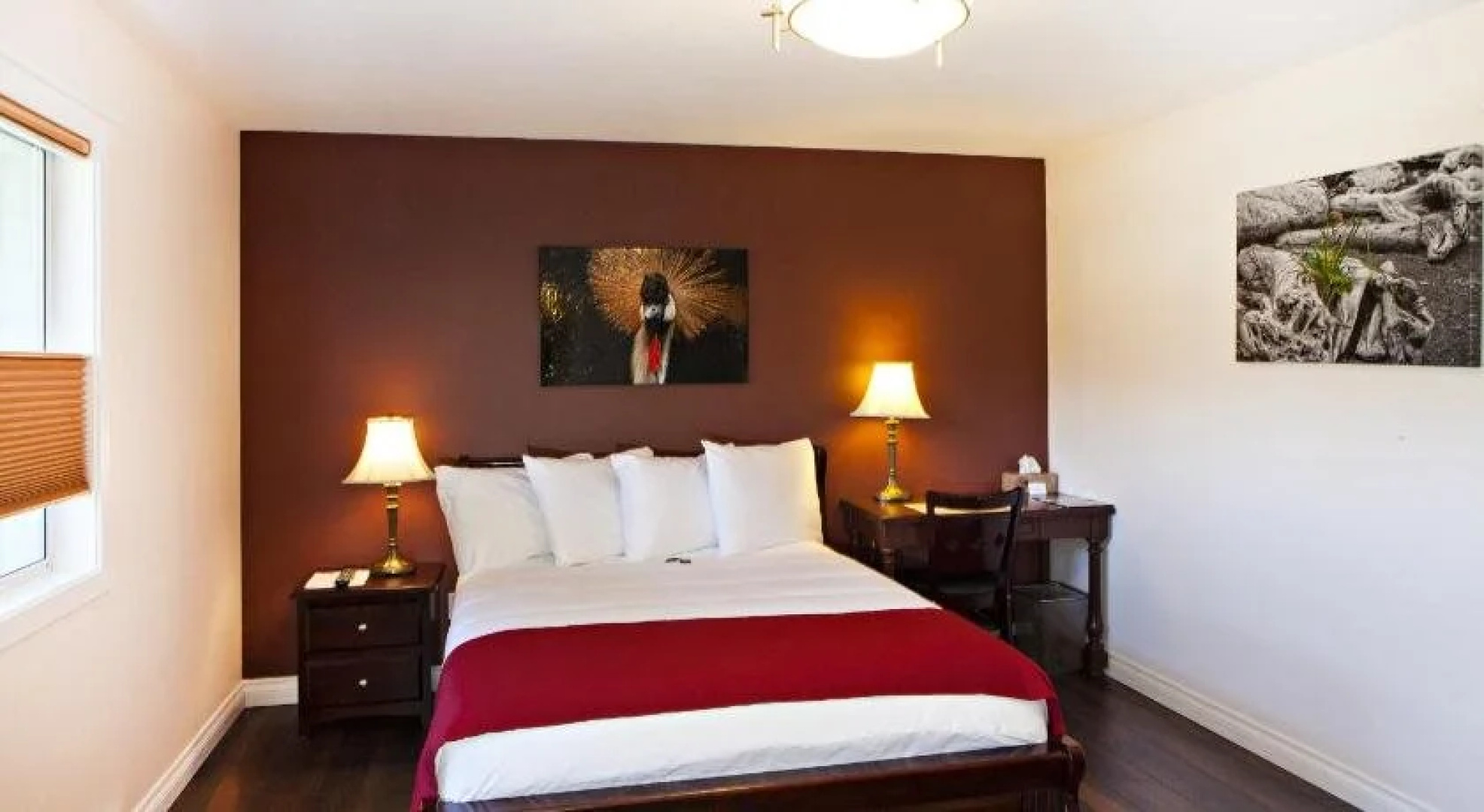 Escape B&B