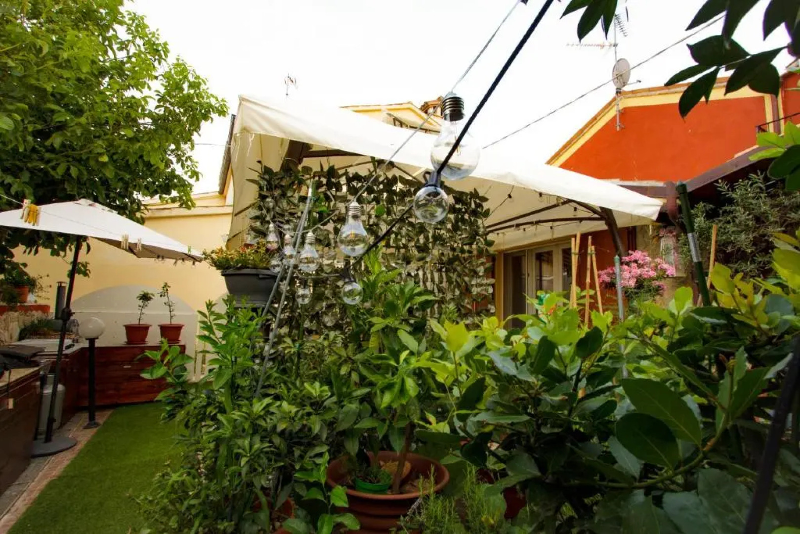 Eden Lilli - B & B Cartoceto