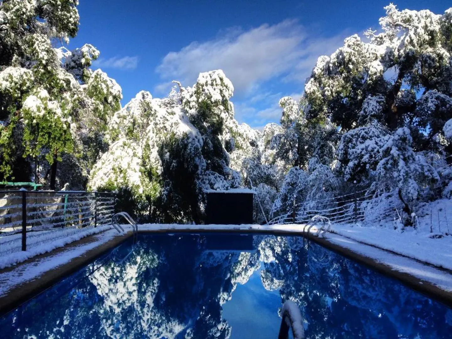 Lodge Las Trancas - Hostel