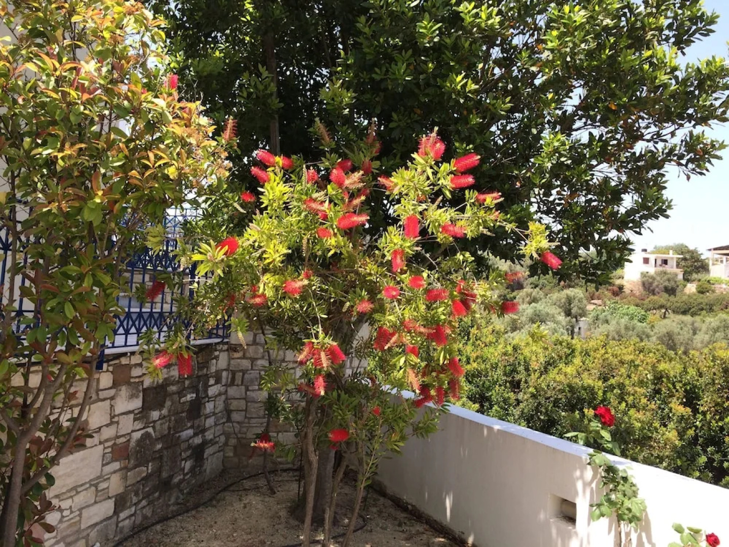 Sea Breeze Hotel Apartments & Residences