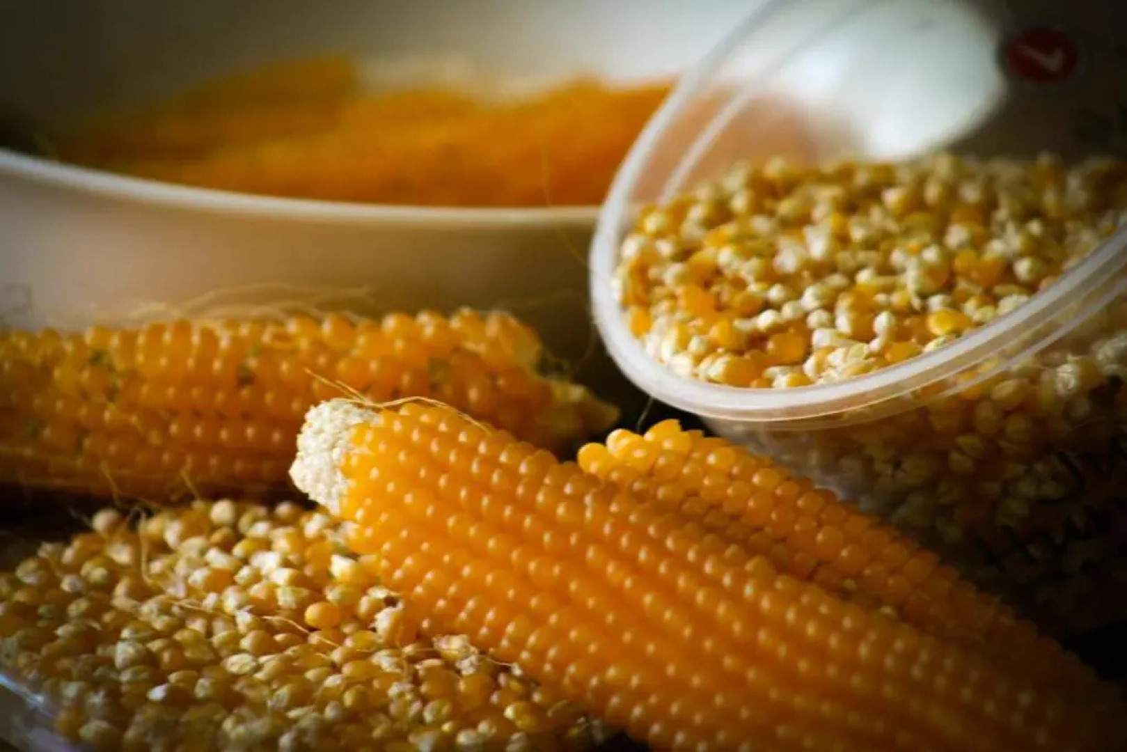 Paeroa Bed and breakfast