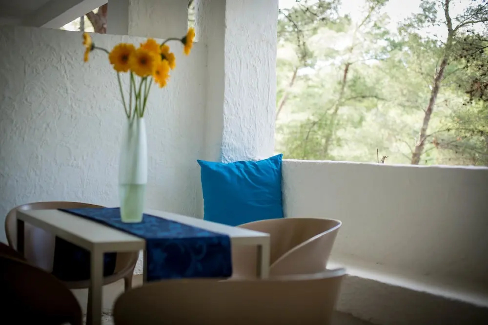 Gattarella Family Resort