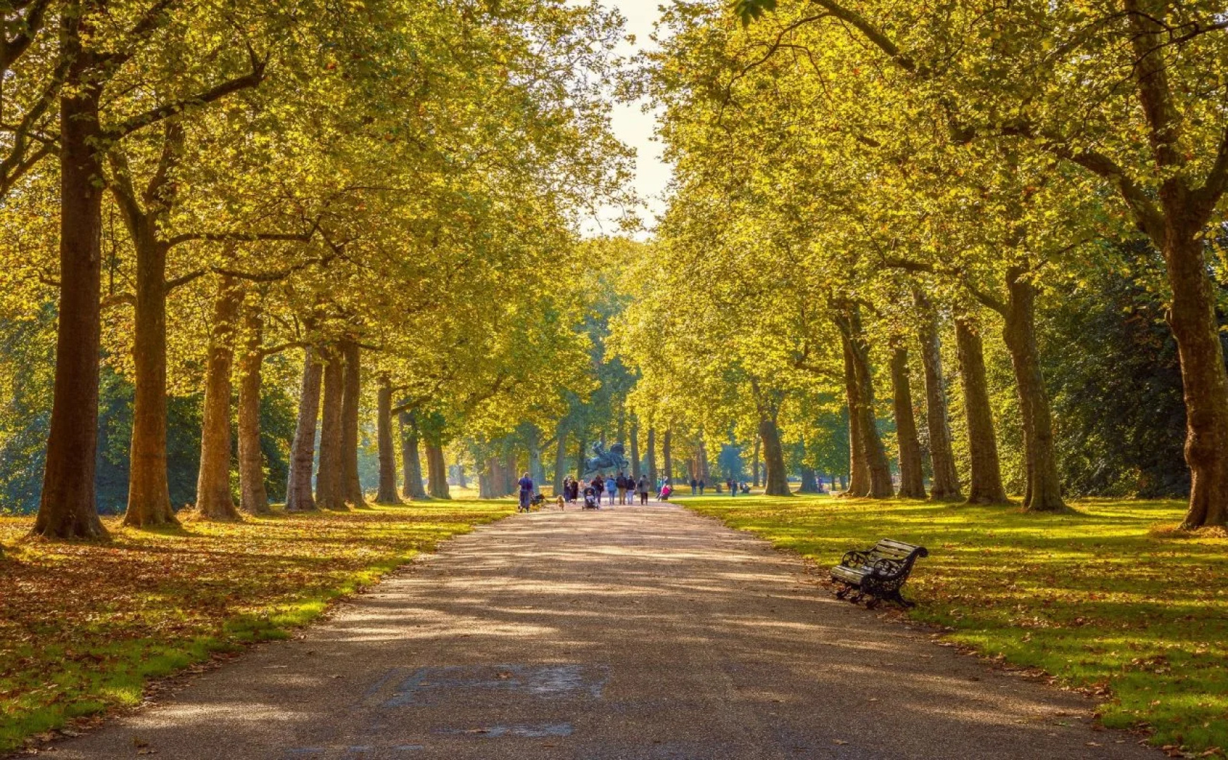Отель Amsterdam