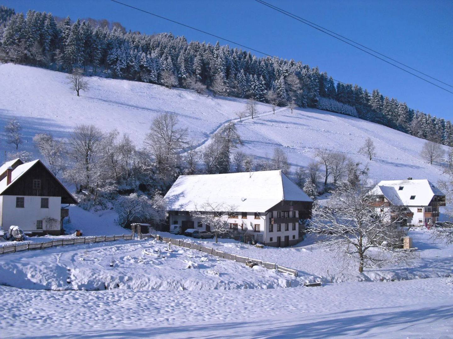 Comfy Apartment in Salmensbach near River