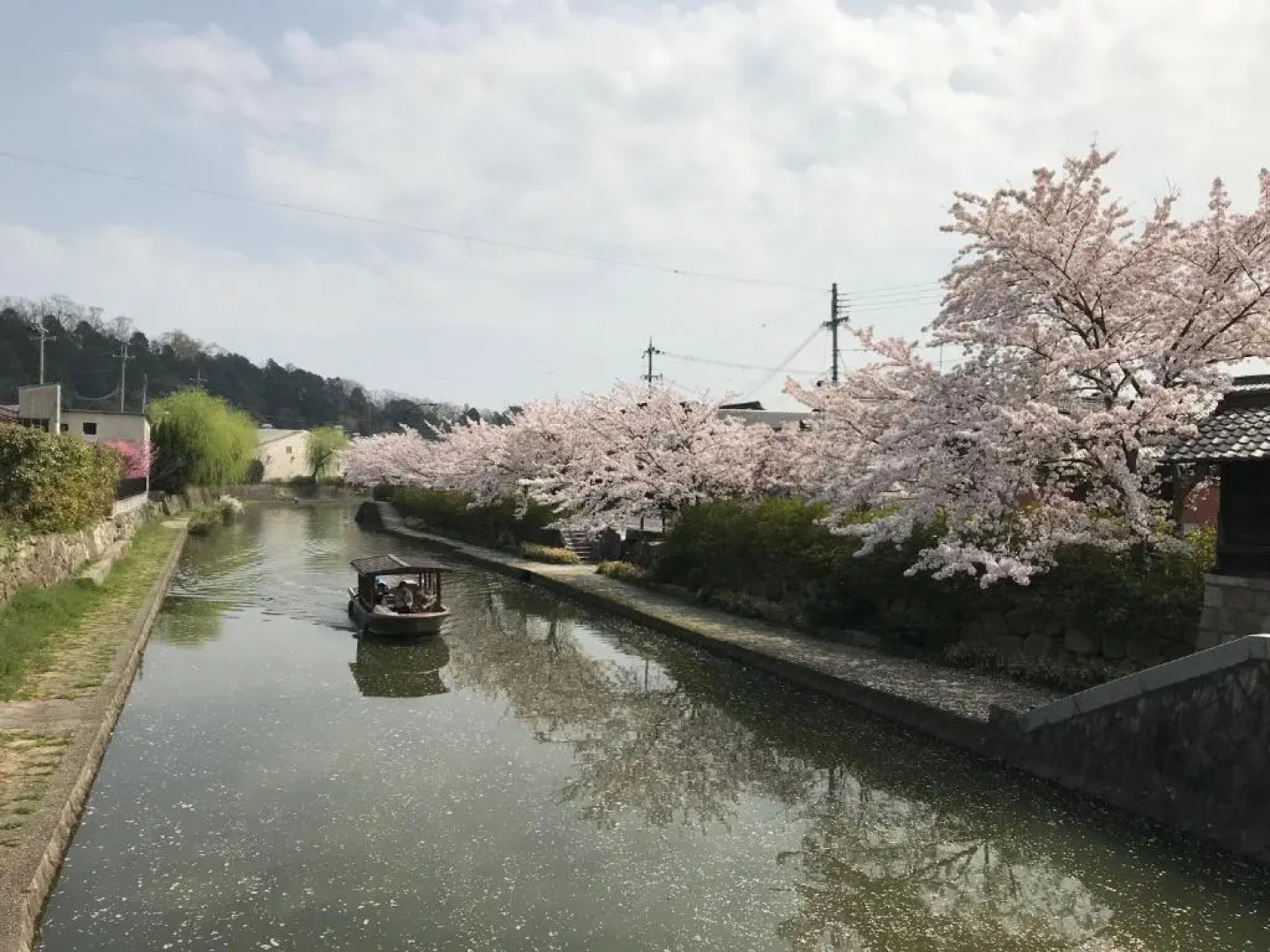 Guesthouse Mio