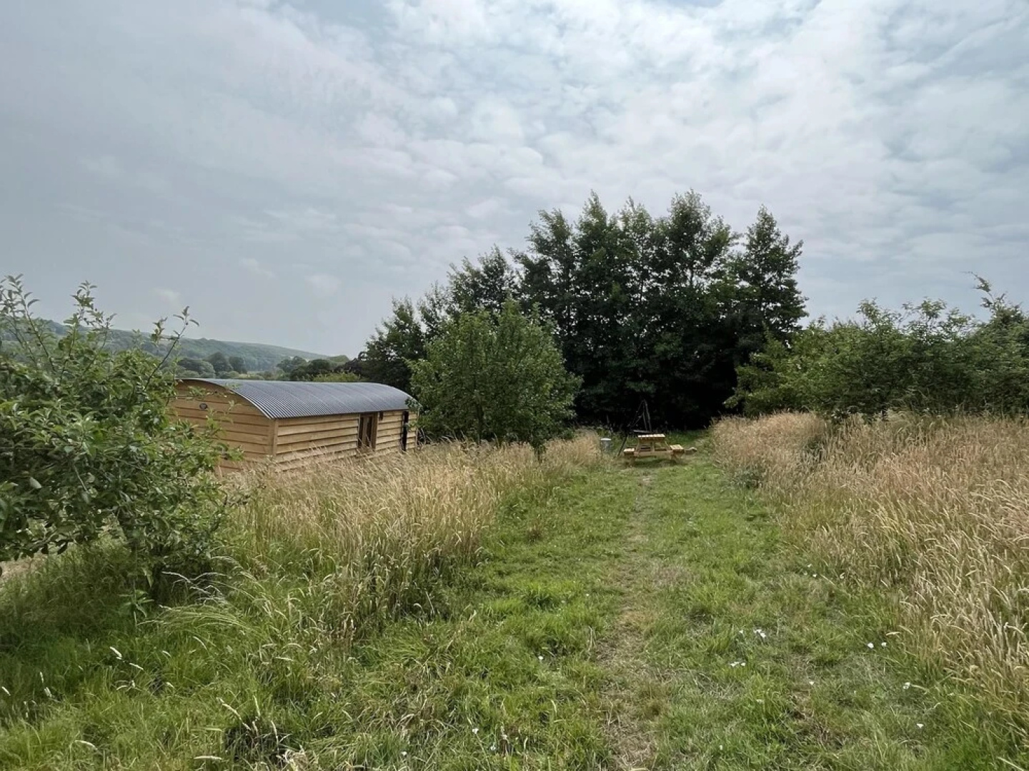 Woodpecker Hill - Apple Orchard in Alfriston