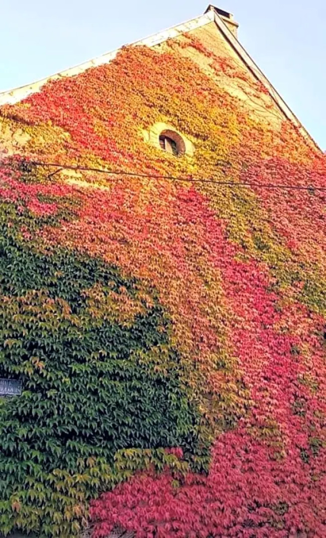 Au Chambellan (Adults Only)