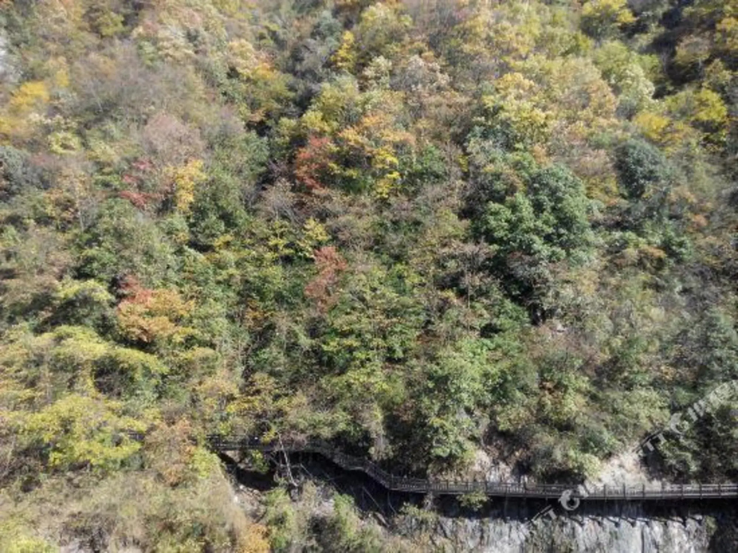 Shennongjia Hotel (Currently unavailable)