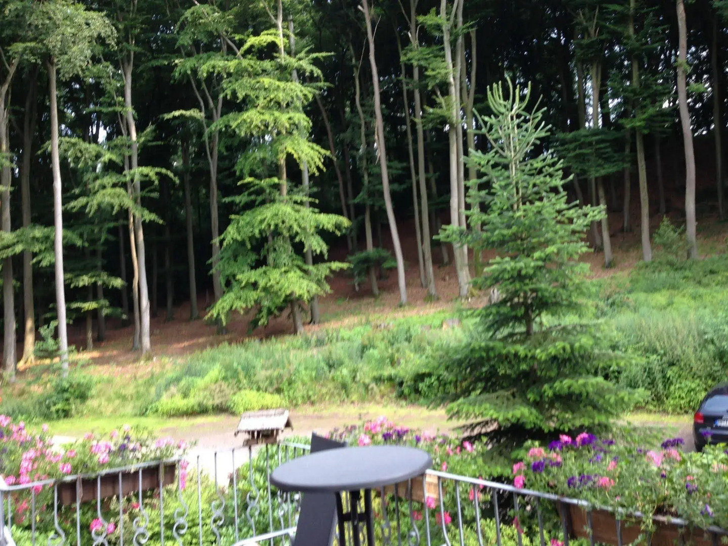 Waldhotel Porta Westfalica garni