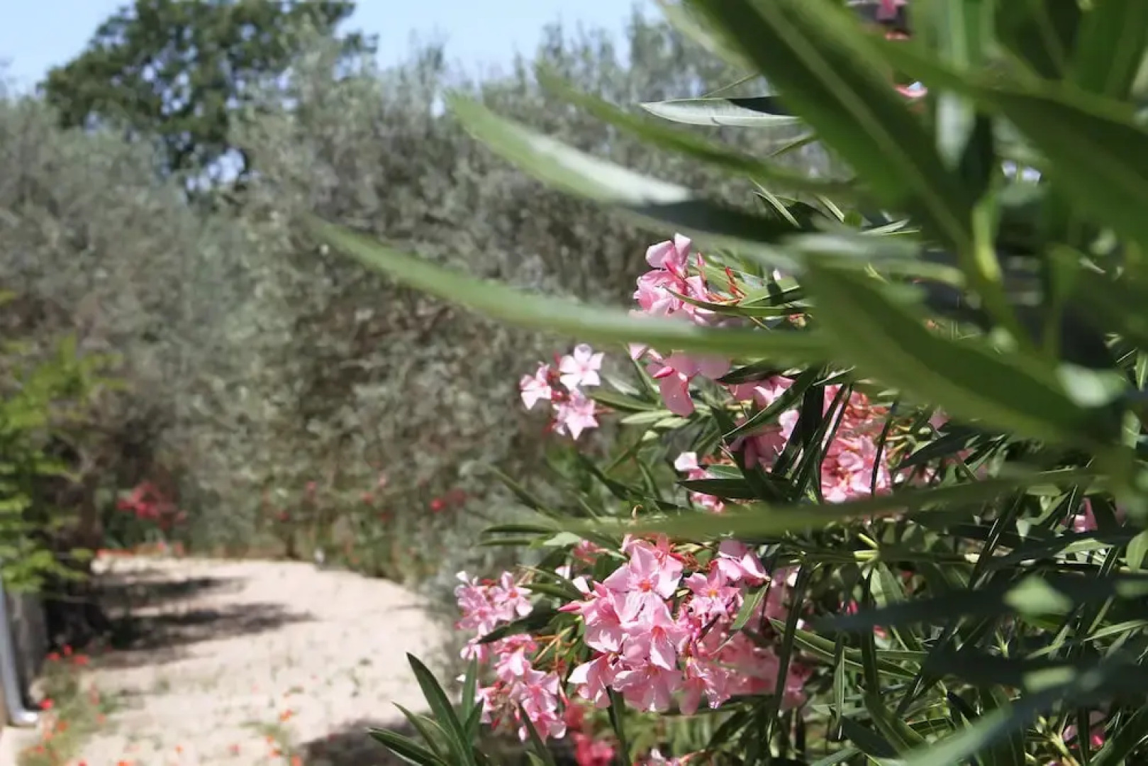 Villa Santa Margherita