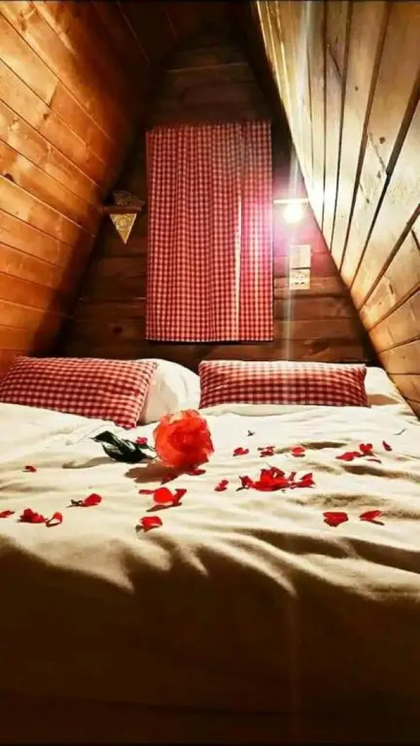 Tiny House in the City