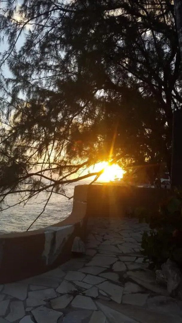 Private Garden Suite, Surf, Work, Relax