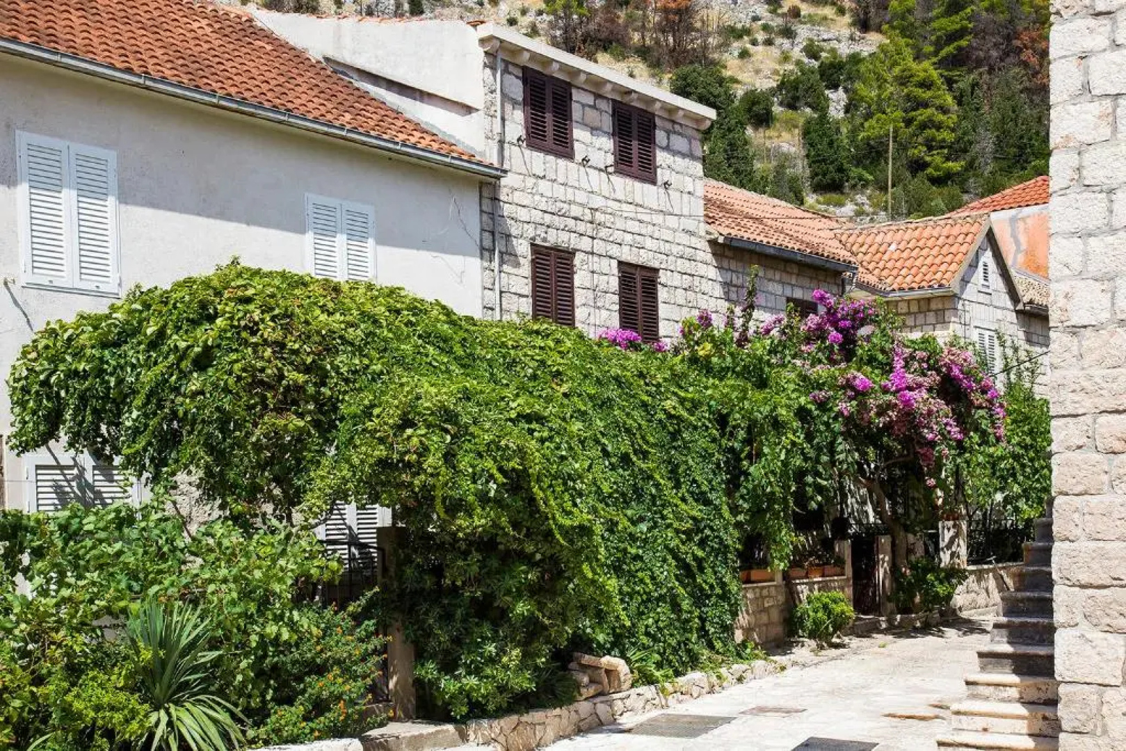 Ante Apartments
