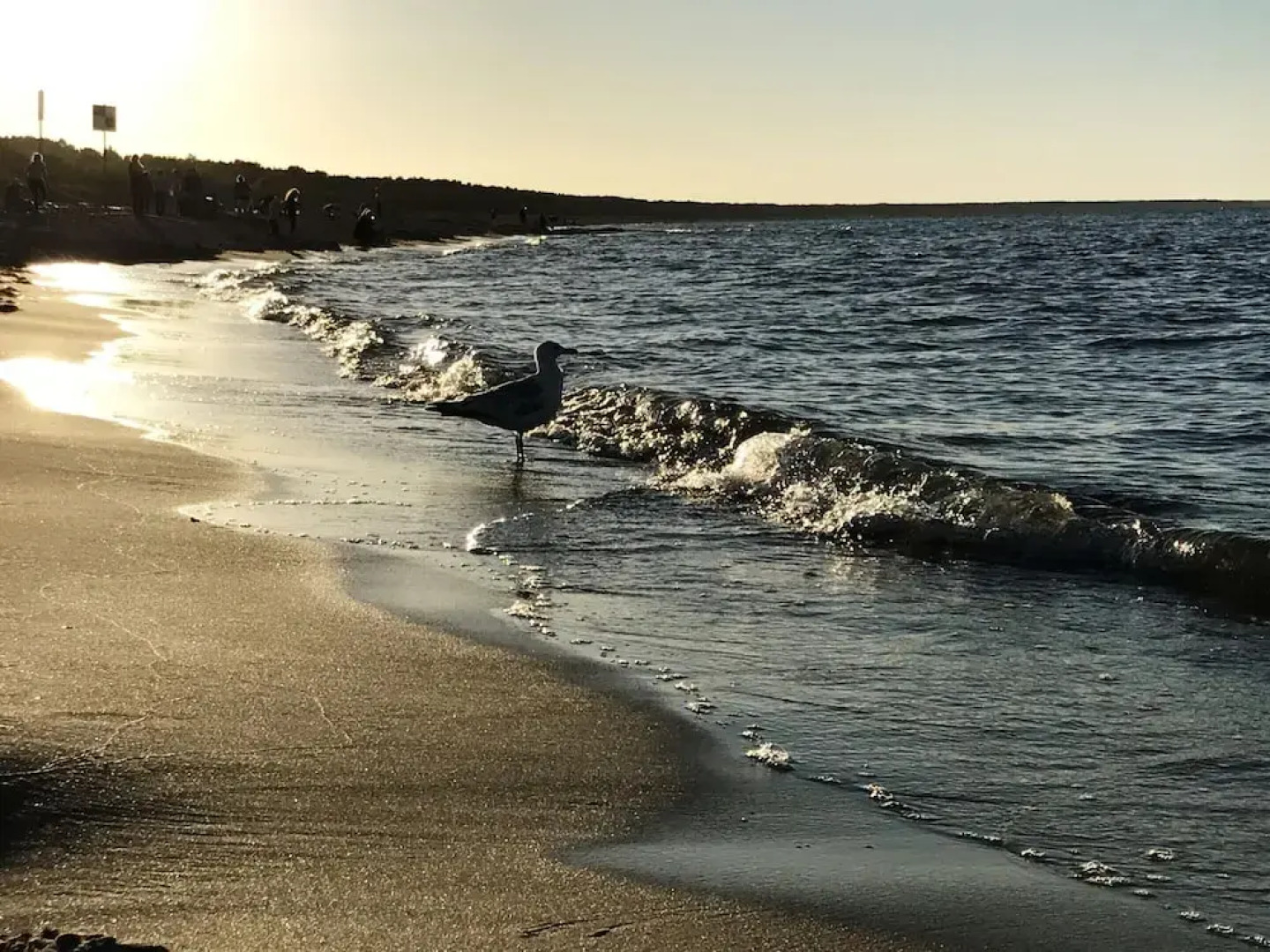 Apartment in Trassenheide for 4 Personen