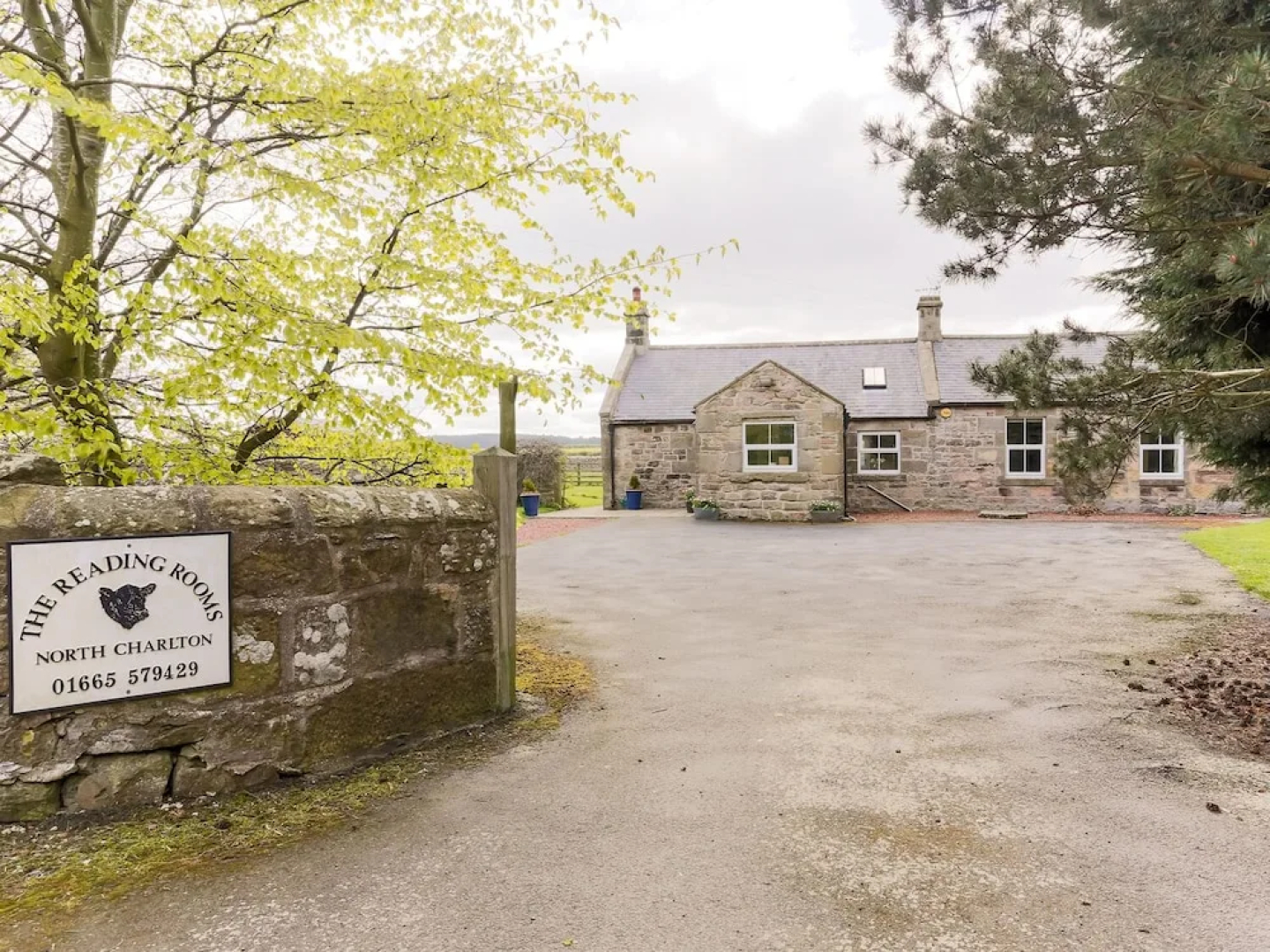 The Reading Rooms