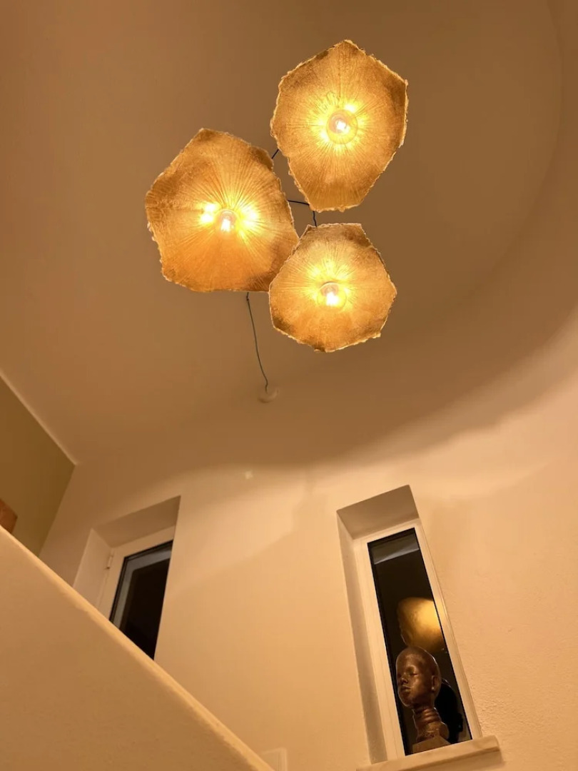 Palm View Guesthouse-Adults only