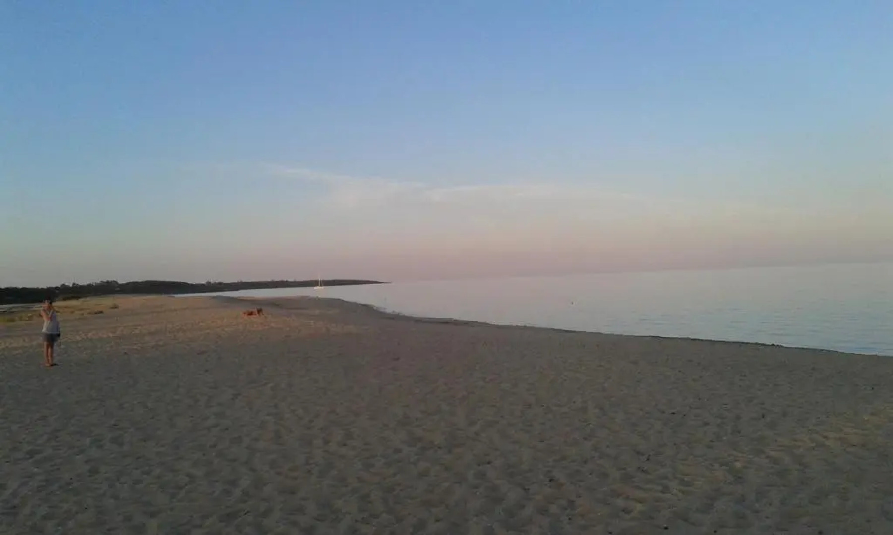 Villa degli Ulivi e delle Rose