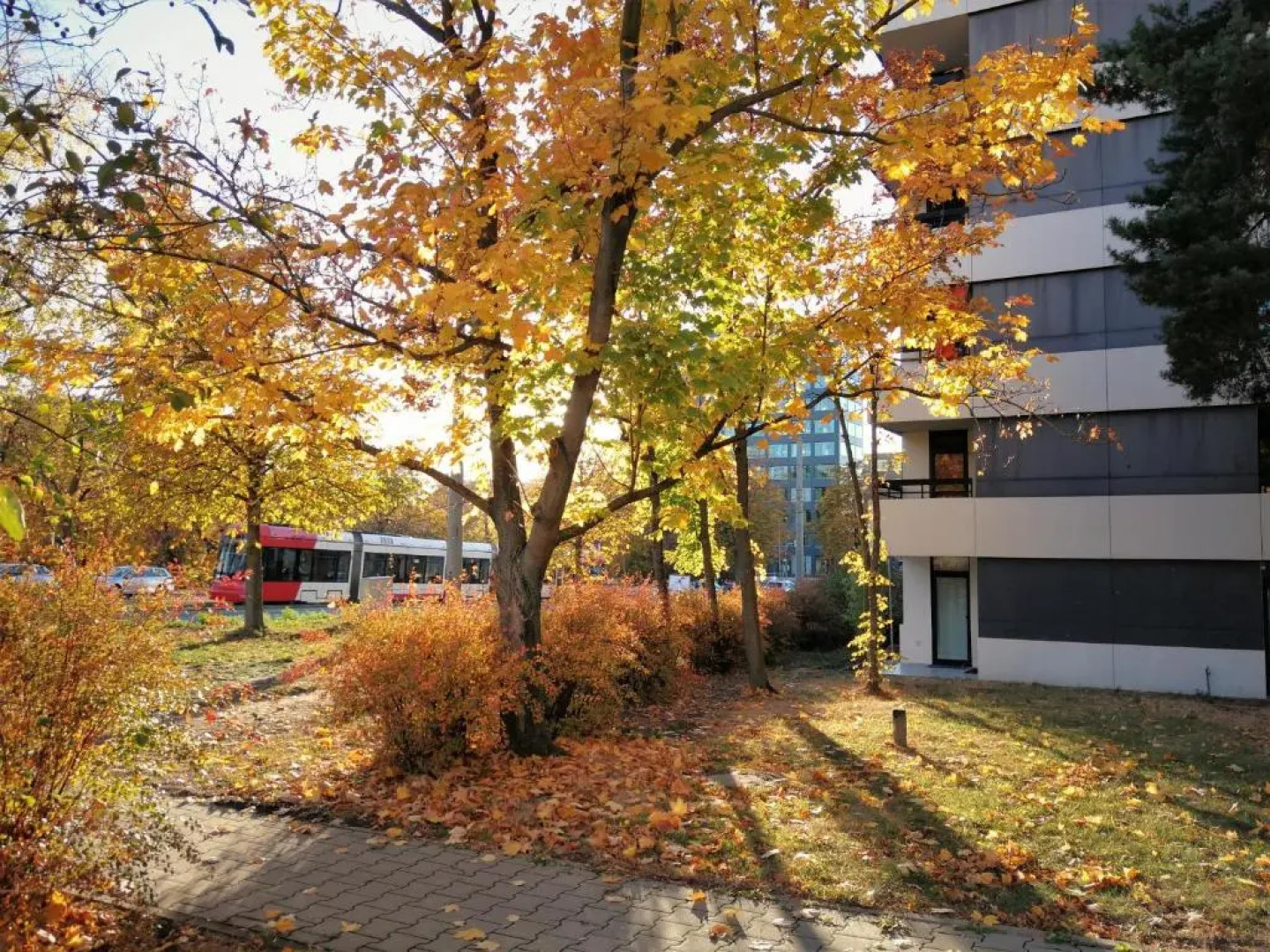 Central-Apt at Lake, CityCenter 5min, Fair 18min!!!