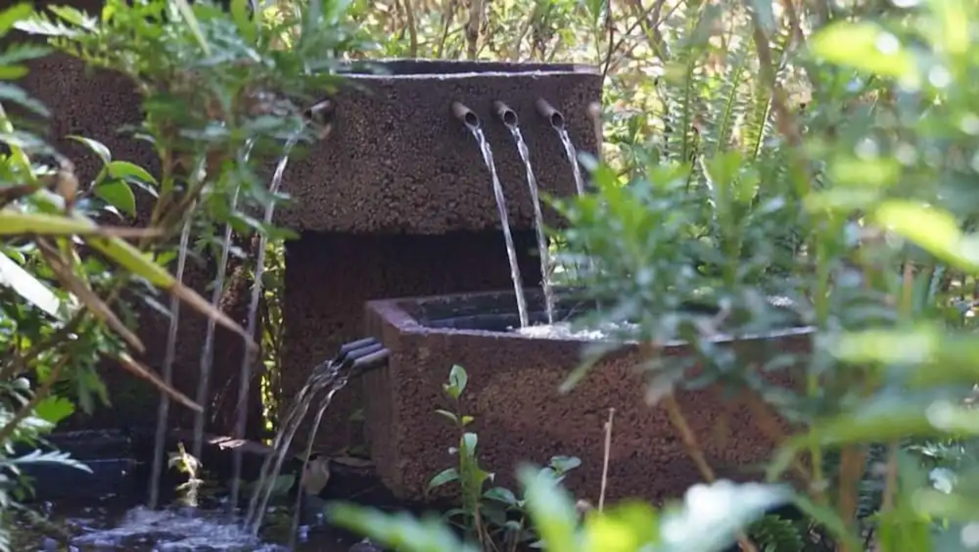 Woodland Gardens