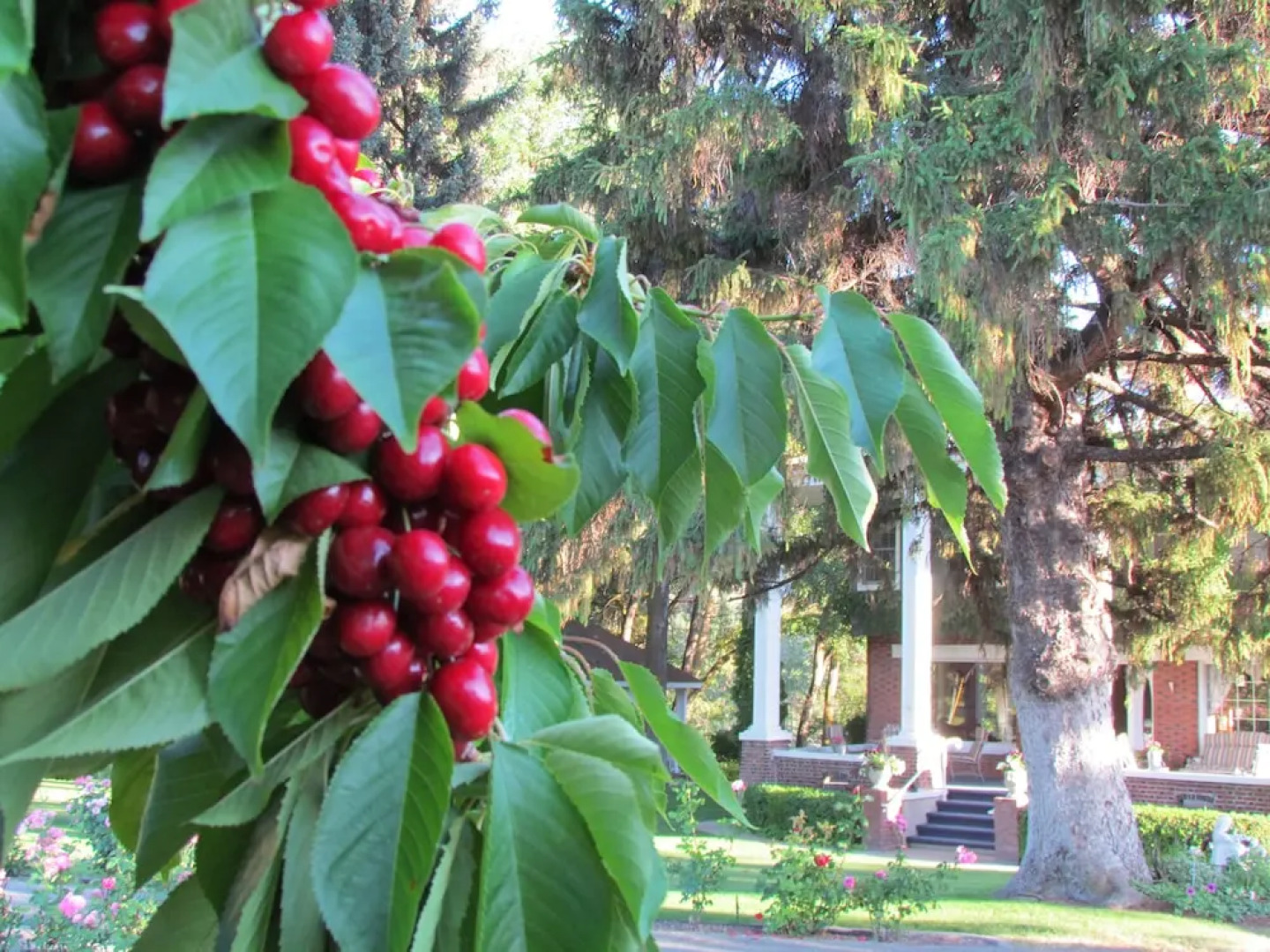 Warm Springs Inn & Winery