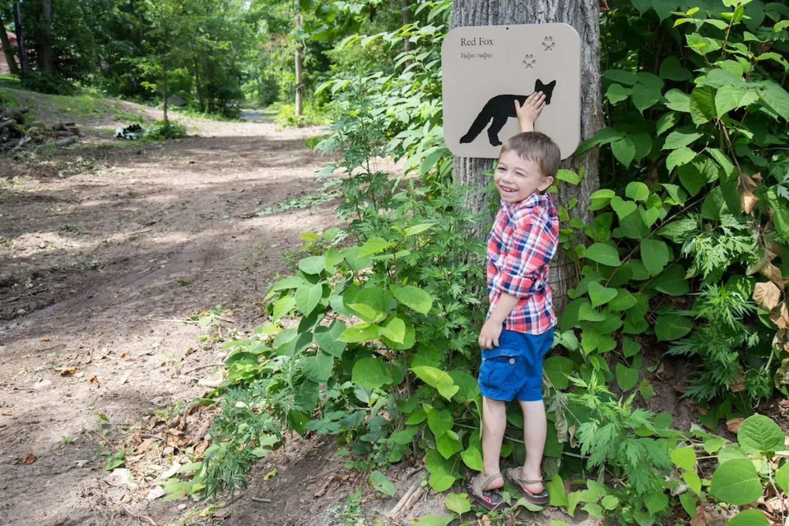 The Emerson Resort & Spa