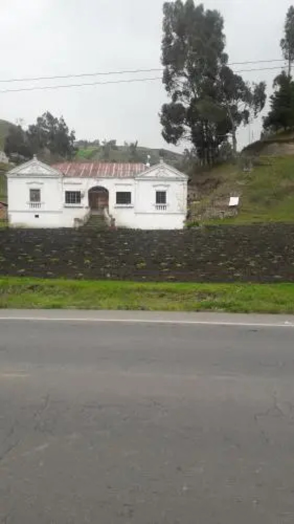 3Q Quinua Qpaq (Rey De La Quinua)