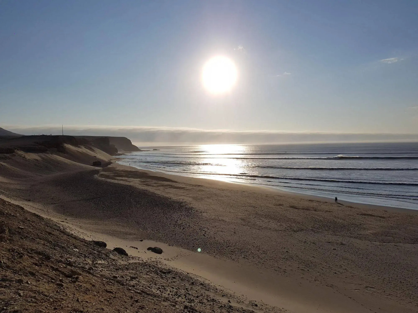 Los Delfines de Chicama