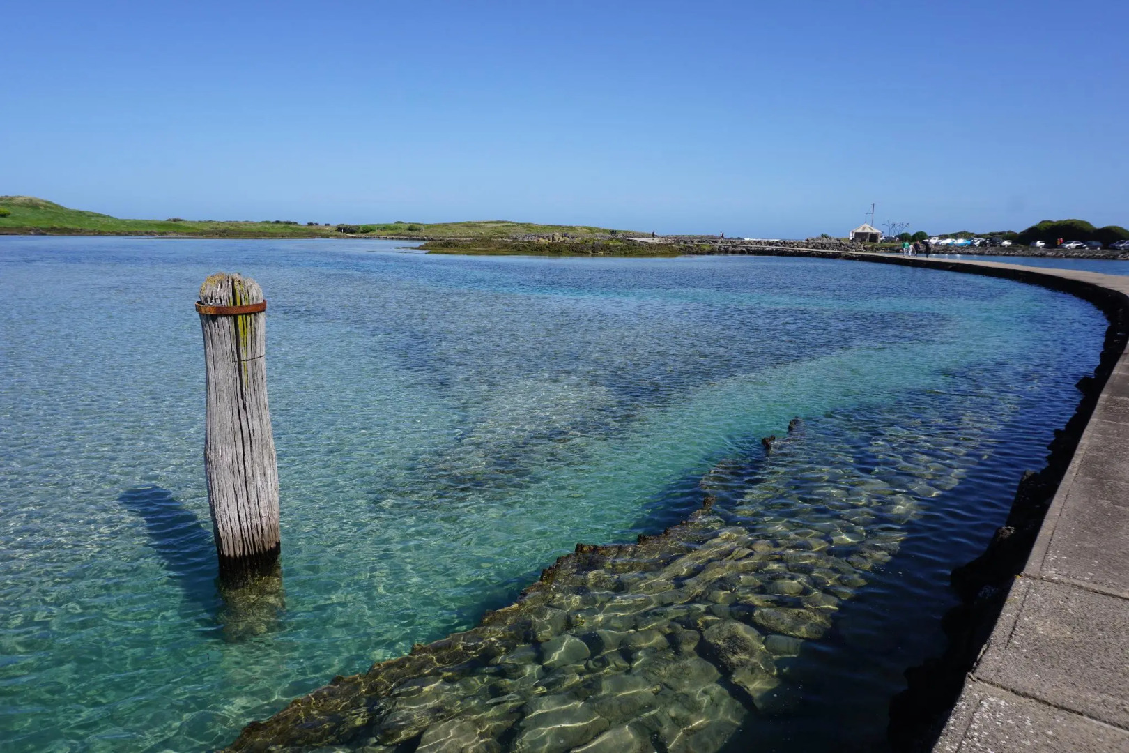 Ashmont Motor Inn & Apartments