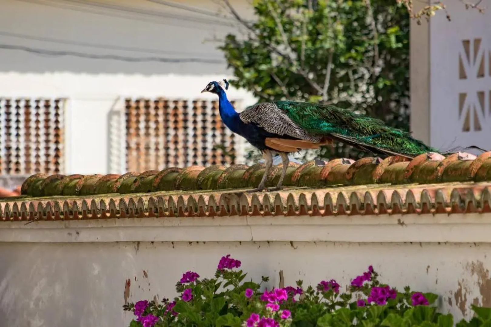Quinta da Foz