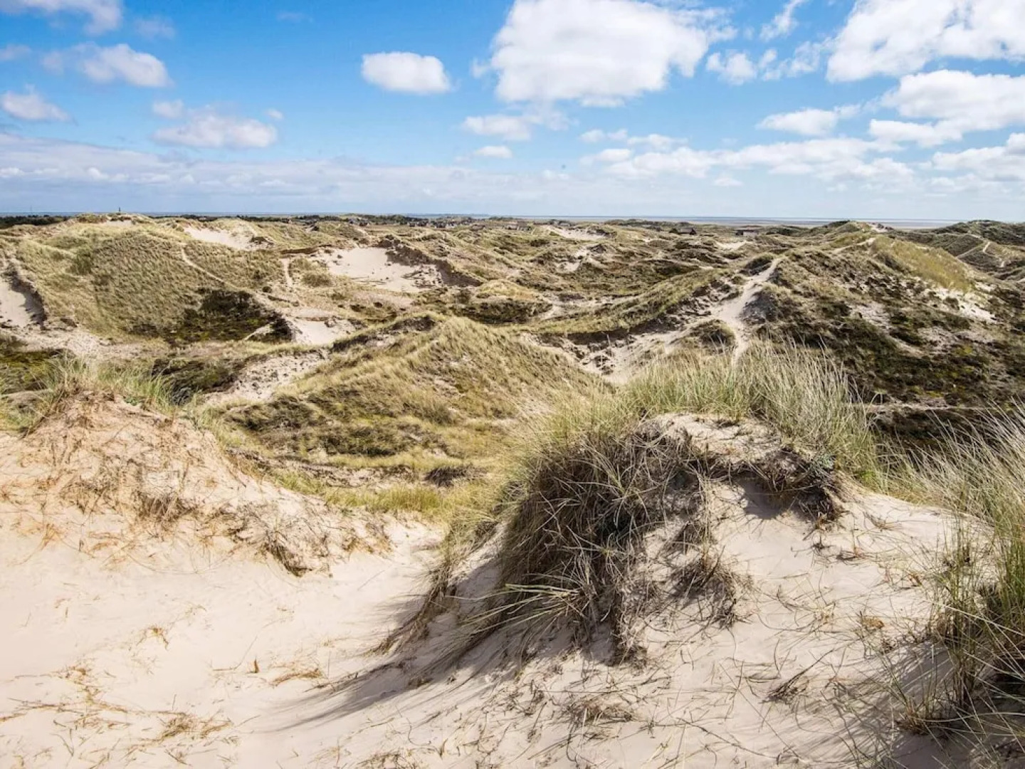 12 Person Holiday Home in Fano