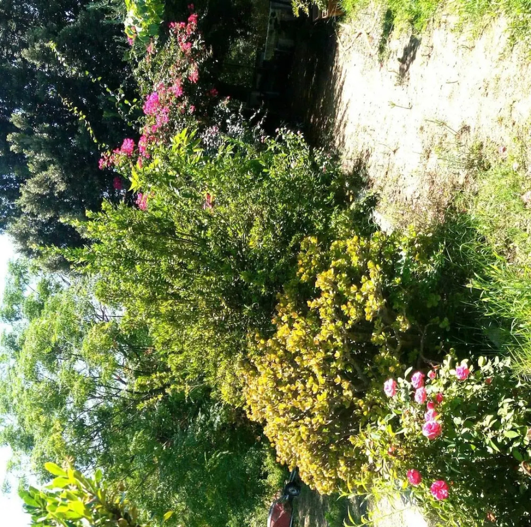 Foximanna on the North Floor in a Villa Surrounded by Greenery Facing the sea