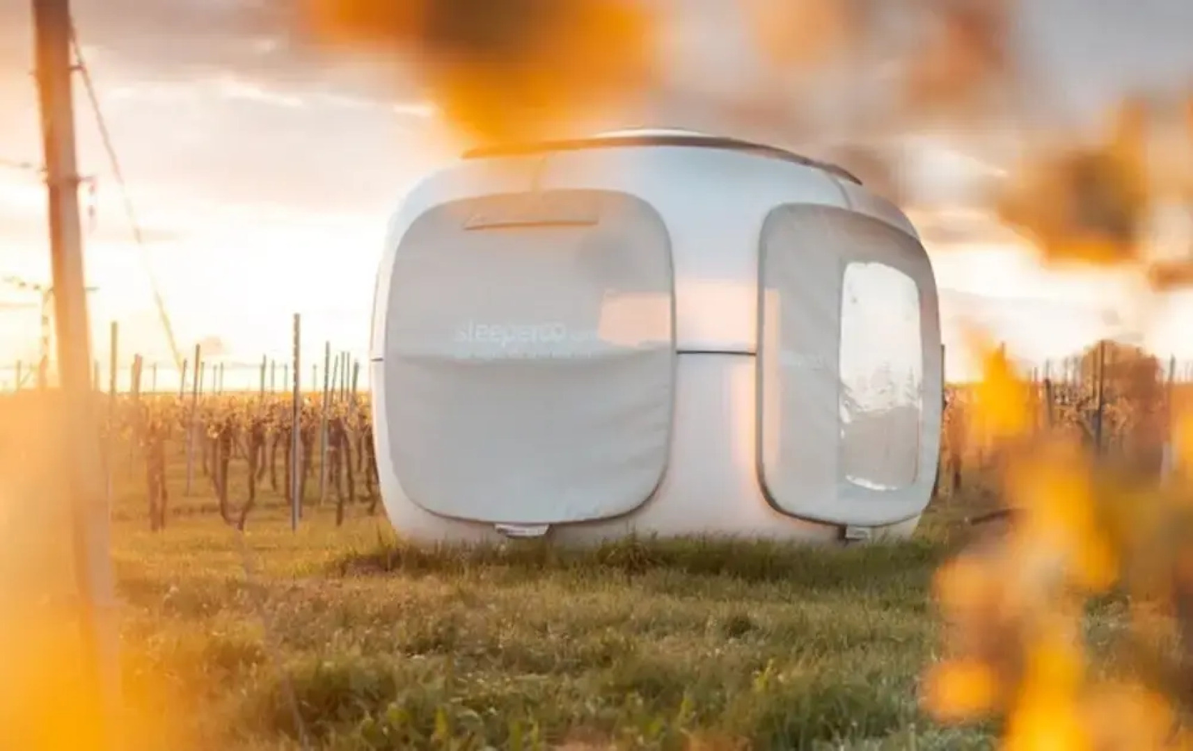 Romantik zwischen Weinreben - Cube