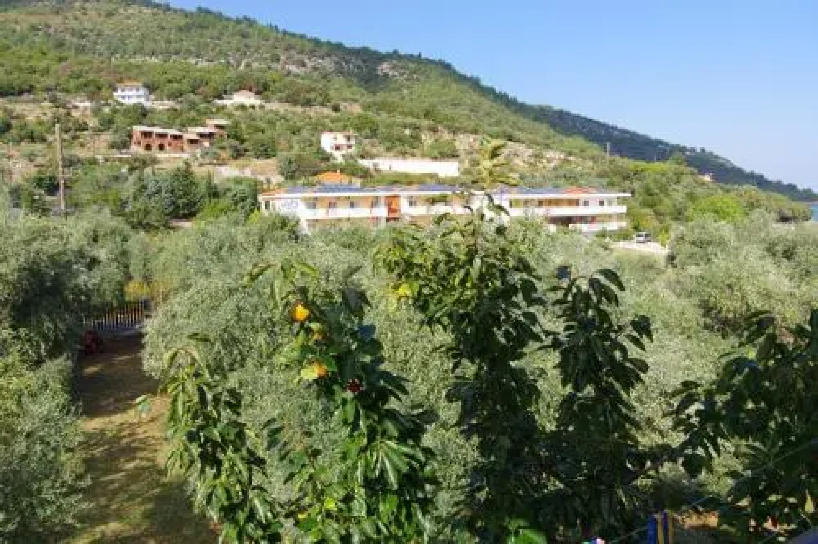 Athina