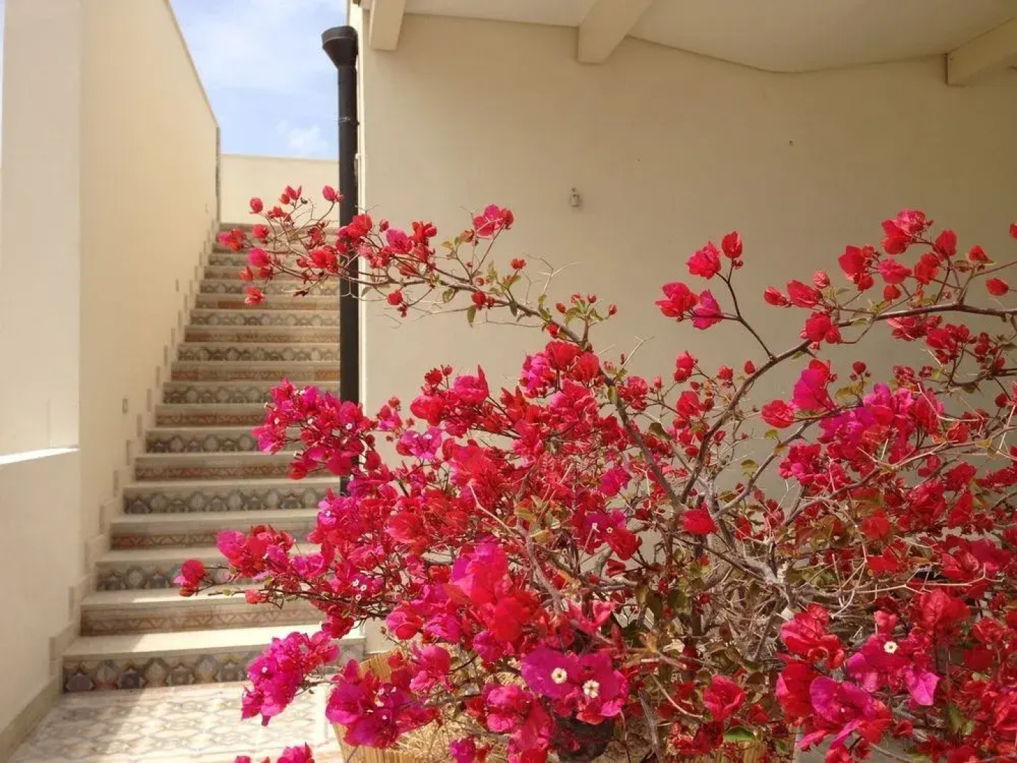 Scilla Maris Charming Suites