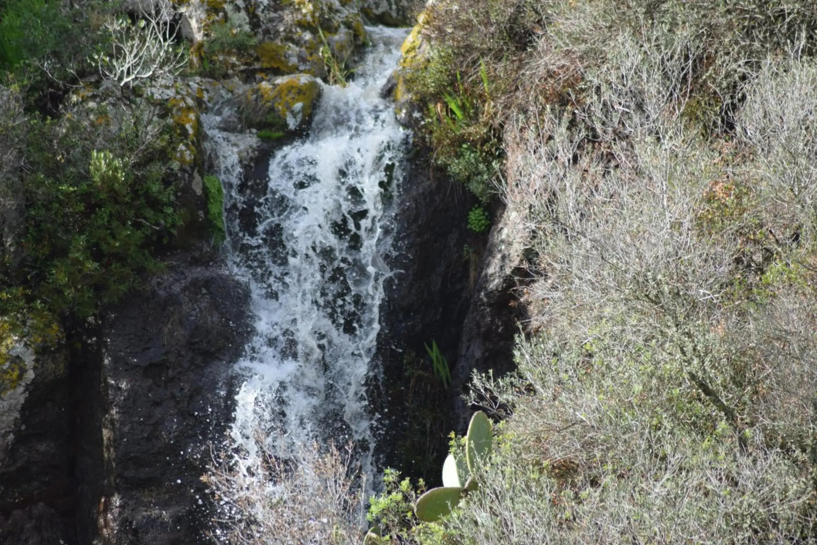Residenza Al Castello