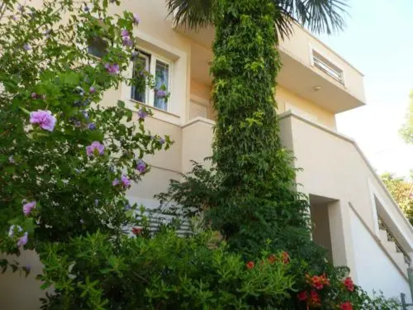 Apartment in Sv. Filip i Jakov 8187