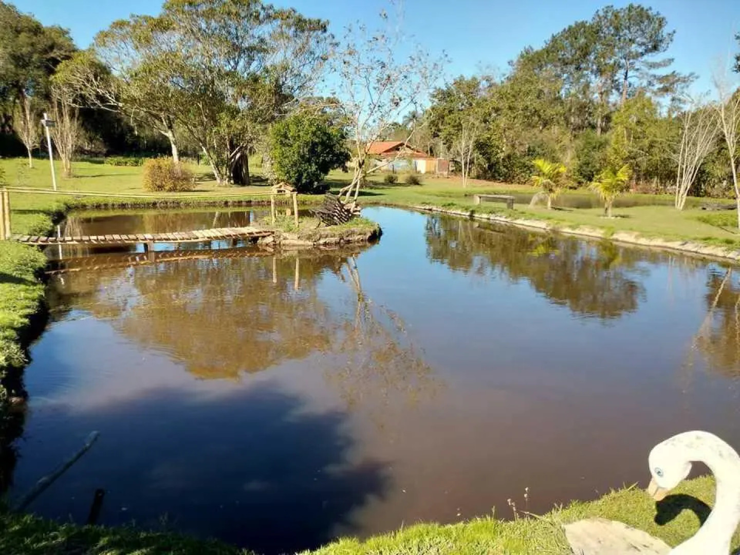 Pousada E Pesqueiro Chico Bento