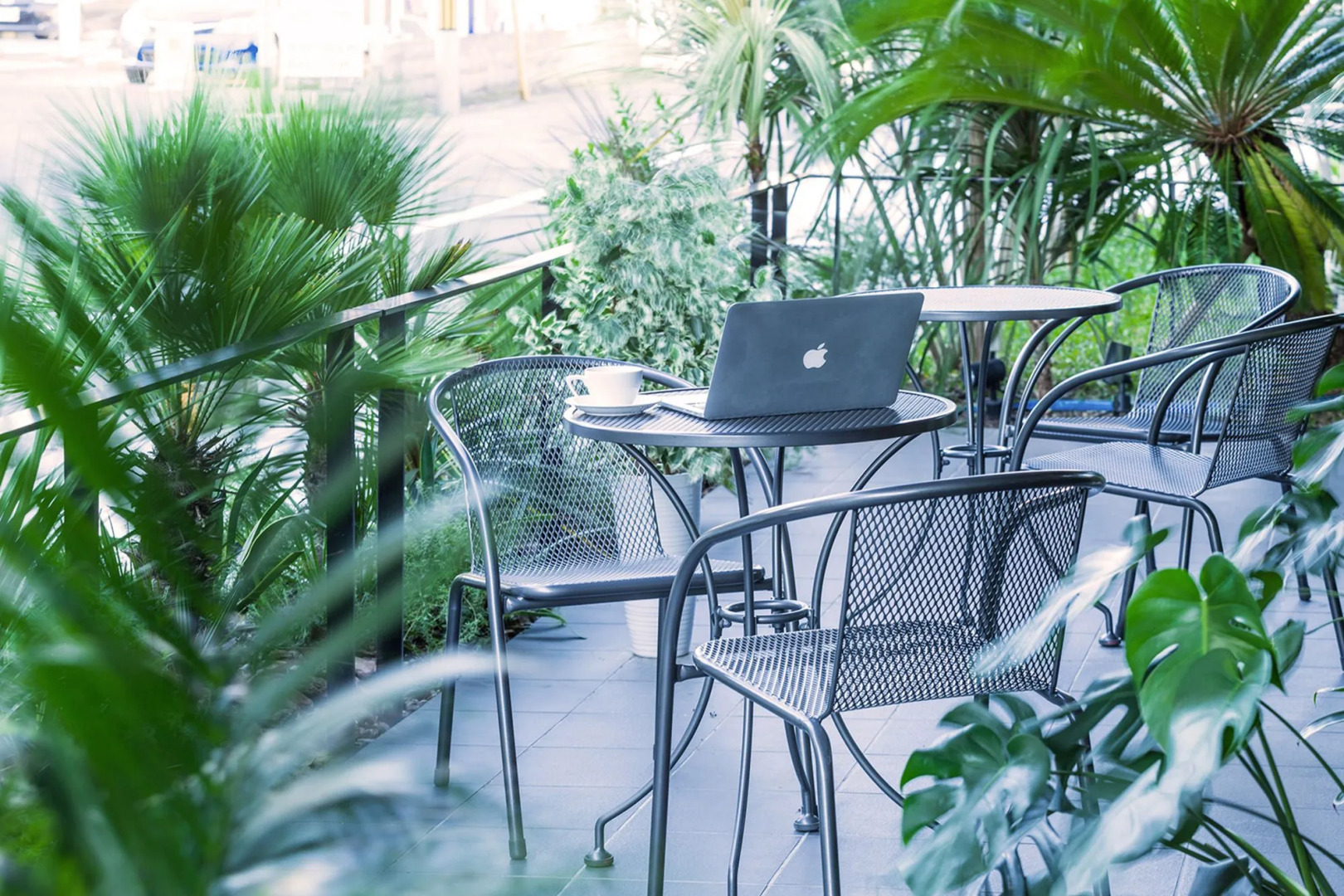 Sakura Terrace The Gallery