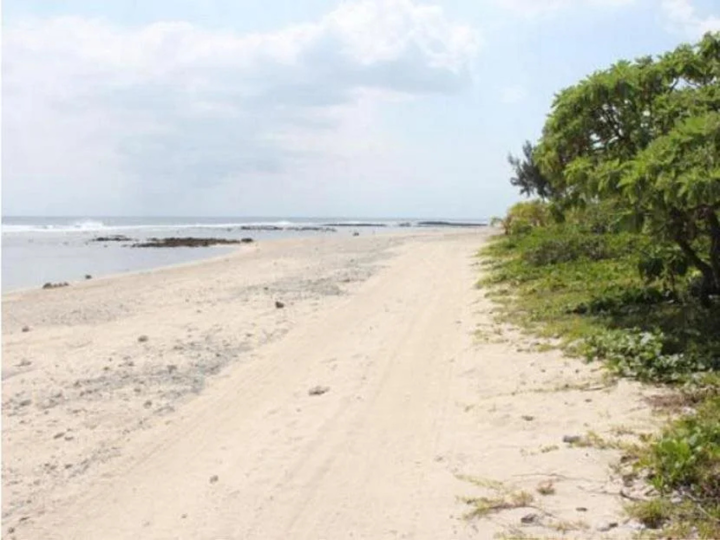 Alofa Beach Bungalows