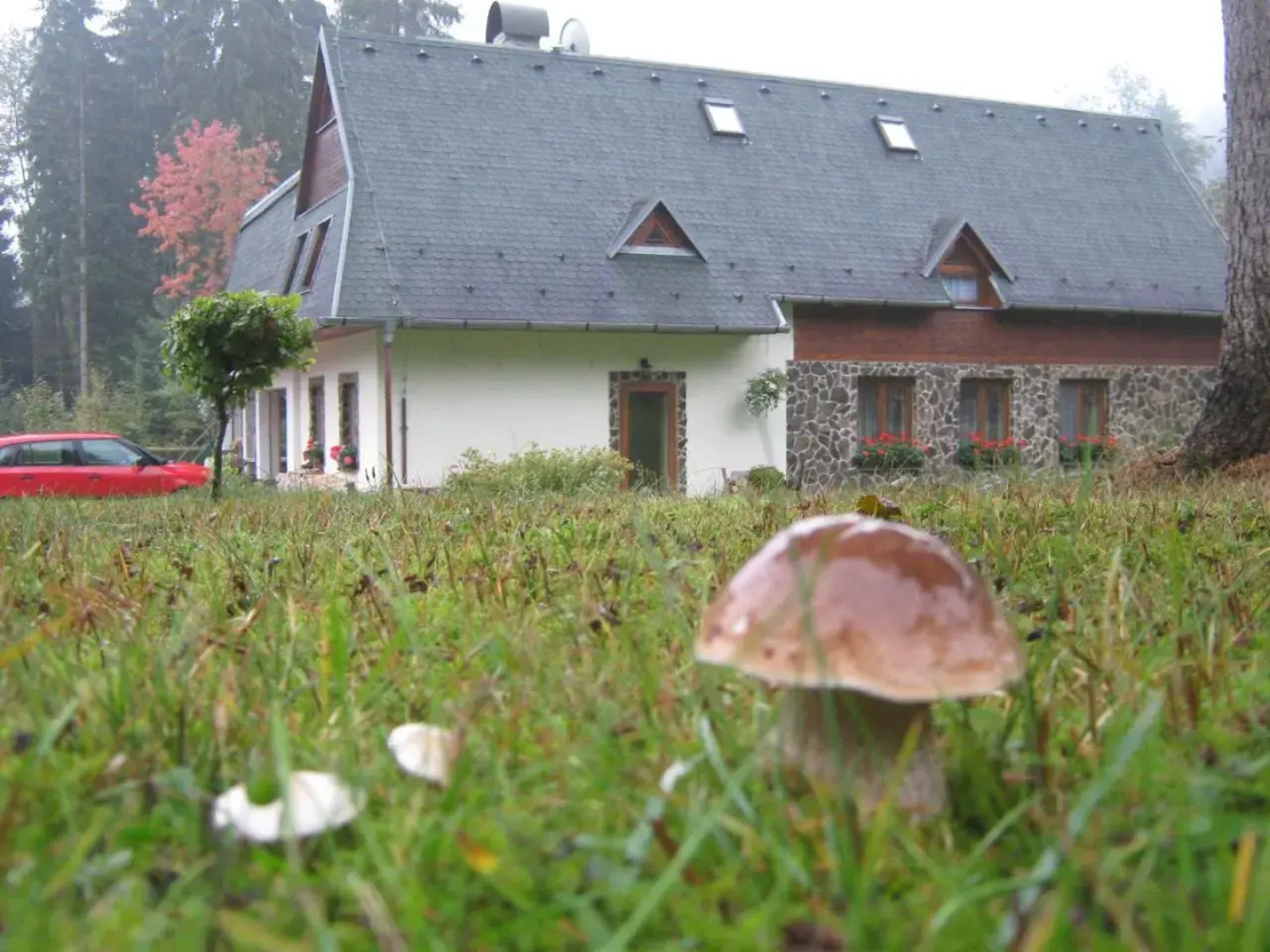 Penzion pod Dobákom